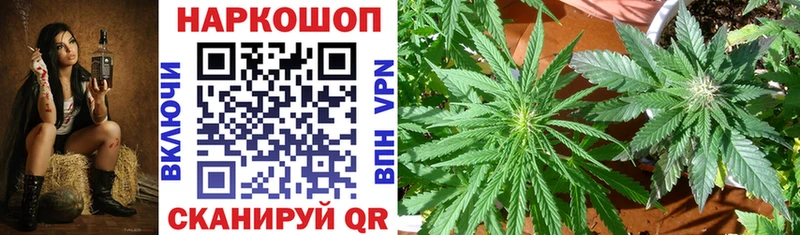 Все наркотики Зея Cocaine  A PVP  Каннабис 