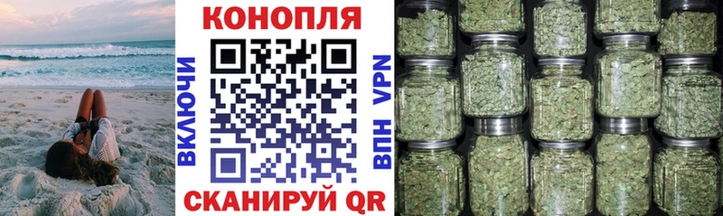 blacksprut зеркало  Зея  Конопля сатива  цена наркотик 